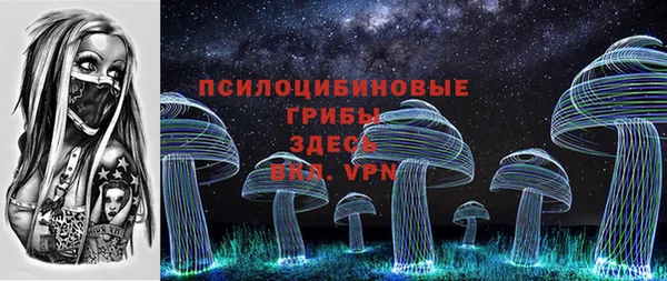 стафф Осинники