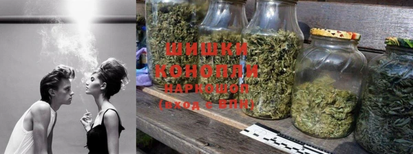 стафф Осинники