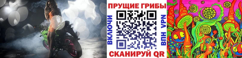 как найти закладки  Сусуман  Галлюциногенные грибы Psilocybe 